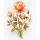 PRINT ROB POHL COLLECTION Peach Rose 4